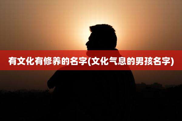 有文化有修养的名字(文化气息的男孩名字)