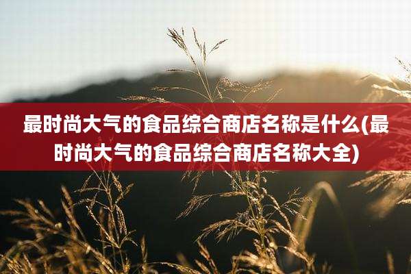 最时尚大气的食品综合商店名称是什么(最时尚大气的食品综合商店名称大全)