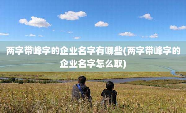两字带峰字的企业名字有哪些(两字带峰字的企业名字怎么取)