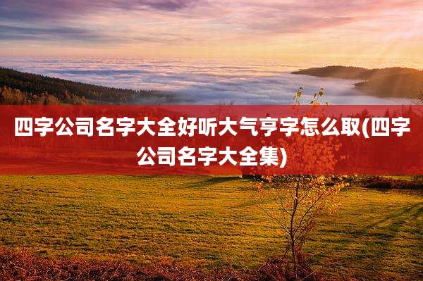 四字公司名字大全好听大气亨字怎么取(四字公司名字大全集)