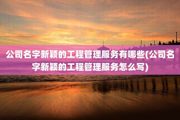 公司名字新颖的工程管理服务有哪些(公司名字新颖的工程管理服务怎么写)