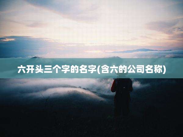六开头三个字的名字(含六的公司名称)