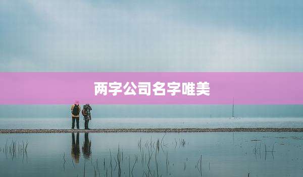 两字公司名字唯美