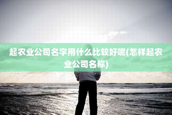 起农业公司名字用什么比较好呢(怎样起农业公司名称)