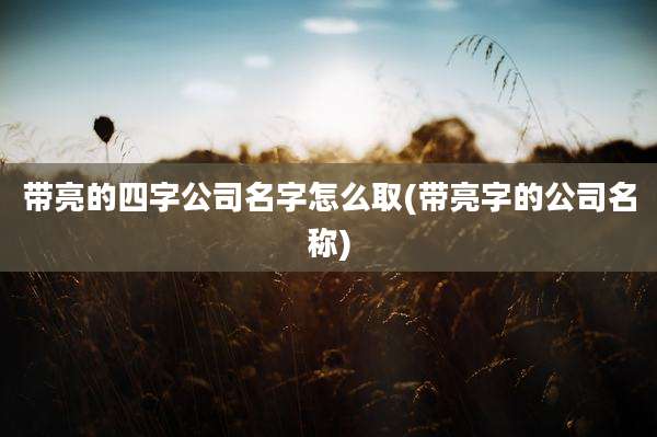 带亮的四字公司名字怎么取(带亮字的公司名称)