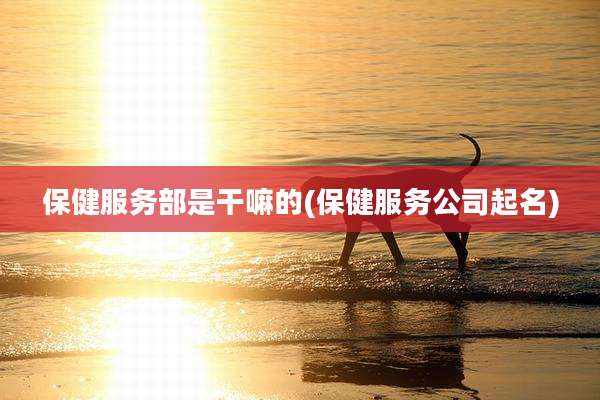 保健服务部是干嘛的(保健服务公司起名)