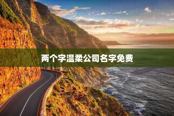 两个字温柔公司名字免费