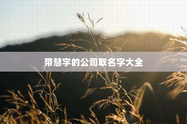 带慧字的公司取名字大全