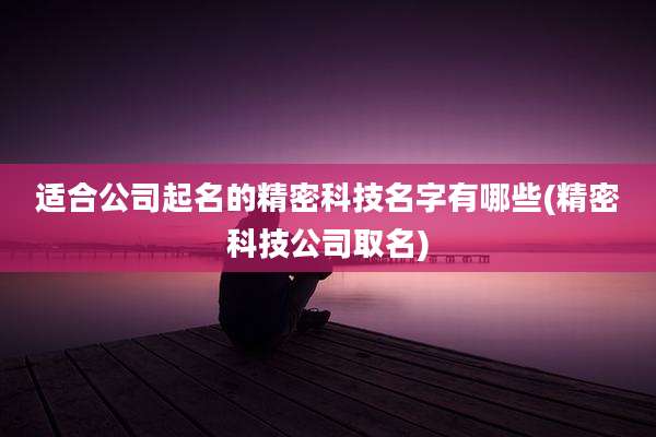 适合公司起名的精密科技名字有哪些(精密科技公司取名)