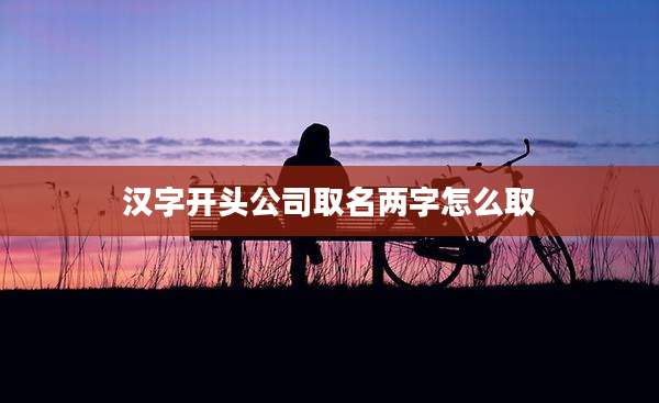 汉字开头公司取名两字怎么取