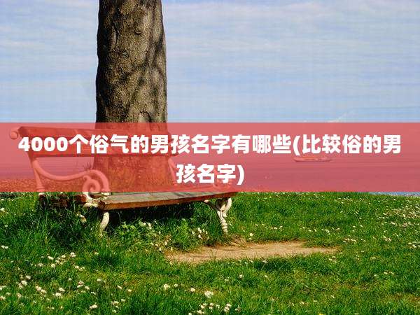 4000个俗气的男孩名字有哪些(比较俗的男孩名字)