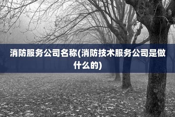 消防服务公司名称(消防技术服务公司是做什么的)