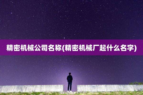 精密机械公司名称(精密机械厂起什么名字)