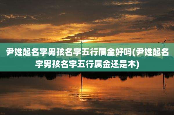 尹姓起名字男孩名字五行属金好吗(尹姓起名字男孩名字五行属金还是木)