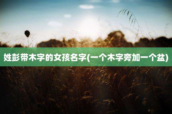 姓彭带木字的女孩名字(一个木字旁加一个盆)