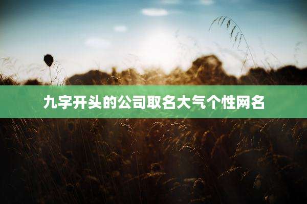九字开头的公司取名大气个性网名