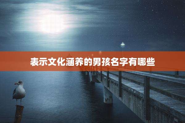 表示文化涵养的男孩名字有哪些