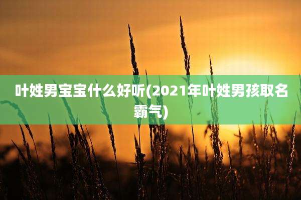 叶姓男宝宝什么好听(2021年叶姓男孩取名霸气)
