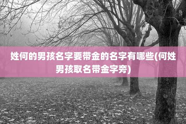 姓何的男孩名字要带金的名字有哪些(何姓男孩取名带金字旁)