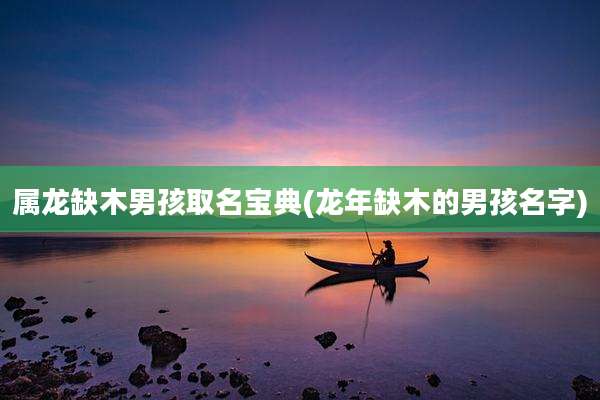 属龙缺木男孩取名宝典(龙年缺木的男孩名字)