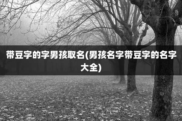 带豆字的字男孩取名(男孩名字带豆字的名字大全)