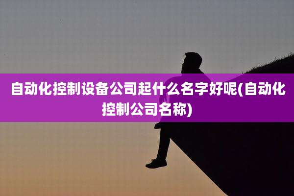 自动化控制设备公司起什么名字好呢(自动化控制公司名称)