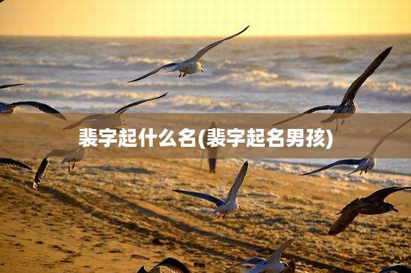 裴字起什么名(裴字起名男孩)