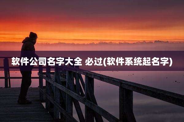 软件公司名字大全 必过(软件系统起名字)