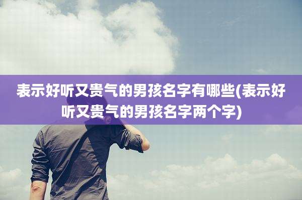 表示好听又贵气的男孩名字有哪些(表示好听又贵气的男孩名字两个字)