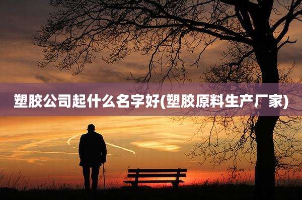 塑胶公司起什么名字好(塑胶原料生产厂家)