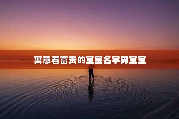 寓意着富贵的宝宝名字男宝宝