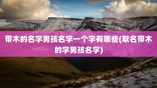 带木的名字男孩名字一个字有哪些(取名带木的字男孩名字)