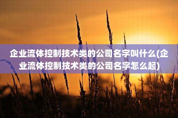 企业流体控制技术类的公司名字叫什么(企业流体控制技术类的公司名字怎么起)