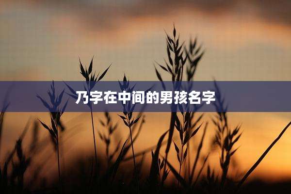 乃字在中间的男孩名字