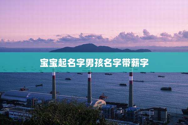 宝宝起名字男孩名字带薪字