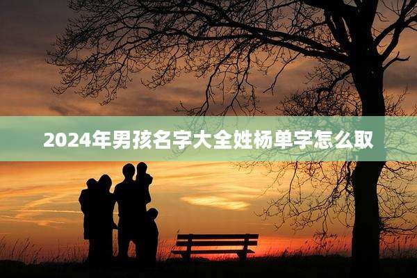 2024年男孩名字大全姓杨单字怎么取