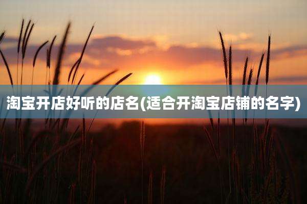 淘宝开店好听的店名(适合开淘宝店铺的名字)
