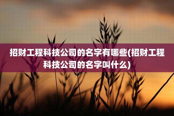 招财工程科技公司的名字有哪些(招财工程科技公司的名字叫什么)