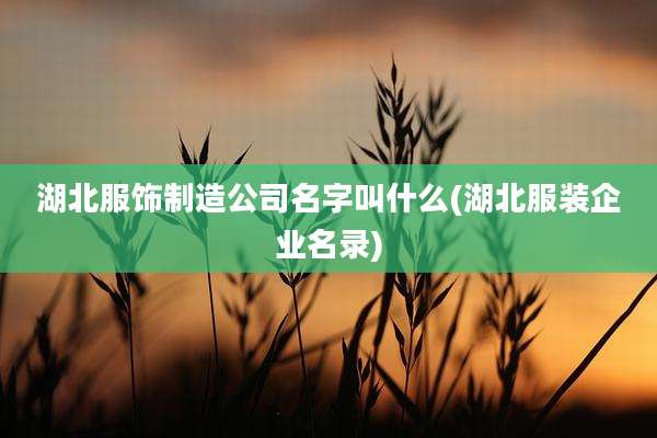 湖北服饰制造公司名字叫什么(湖北服装企业名录)