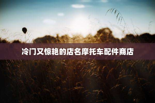 冷门又惊艳的店名摩托车配件商店