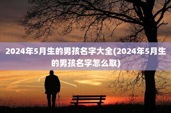 2024年5月生的男孩名字大全(2024年5月生的男孩名字怎么取)