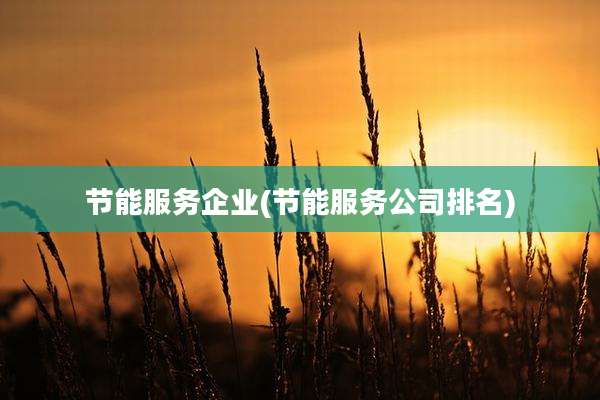 节能服务企业(节能服务公司排名)
