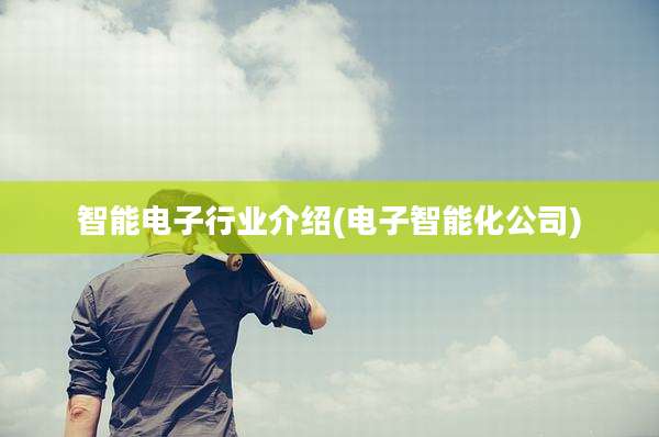 智能电子行业介绍(电子智能化公司)