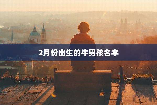 2月份出生的牛男孩名字