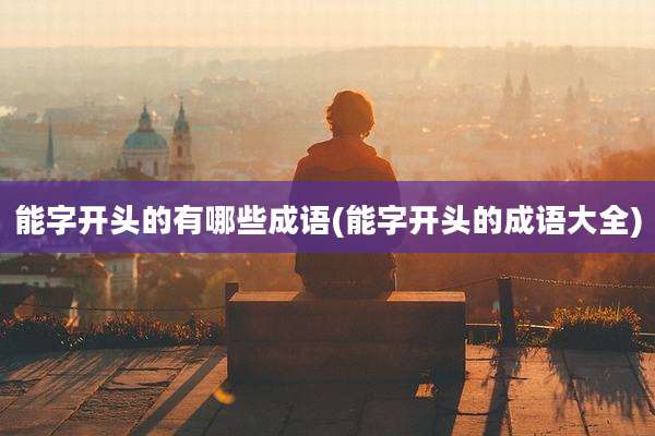 能字开头的有哪些成语(能字开头的成语大全)