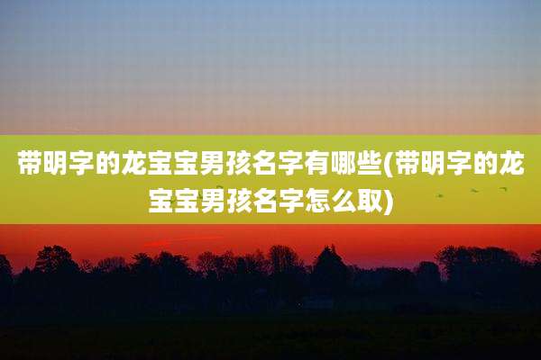 带明字的龙宝宝男孩名字有哪些(带明字的龙宝宝男孩名字怎么取)