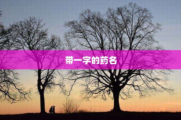 带一字的药名