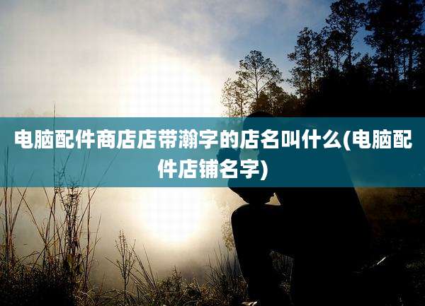 电脑配件商店店带瀚字的店名叫什么(电脑配件店铺名字)