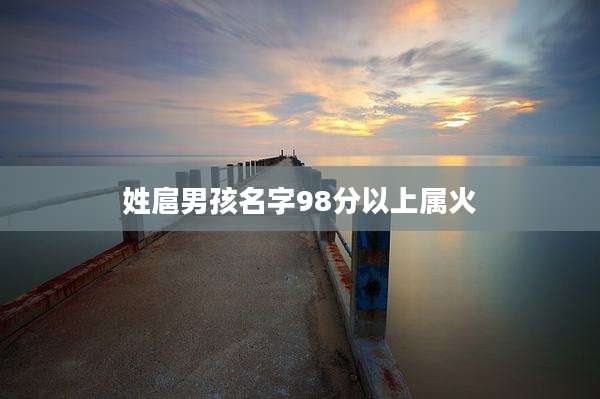 姓扈男孩名字98分以上属火