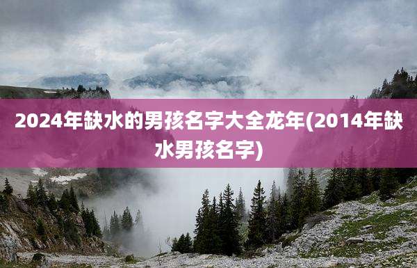 2024年缺水的男孩名字大全龙年(2014年缺水男孩名字)